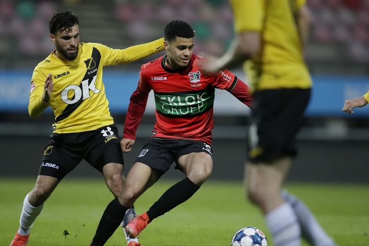 这种独特的 这种独特的